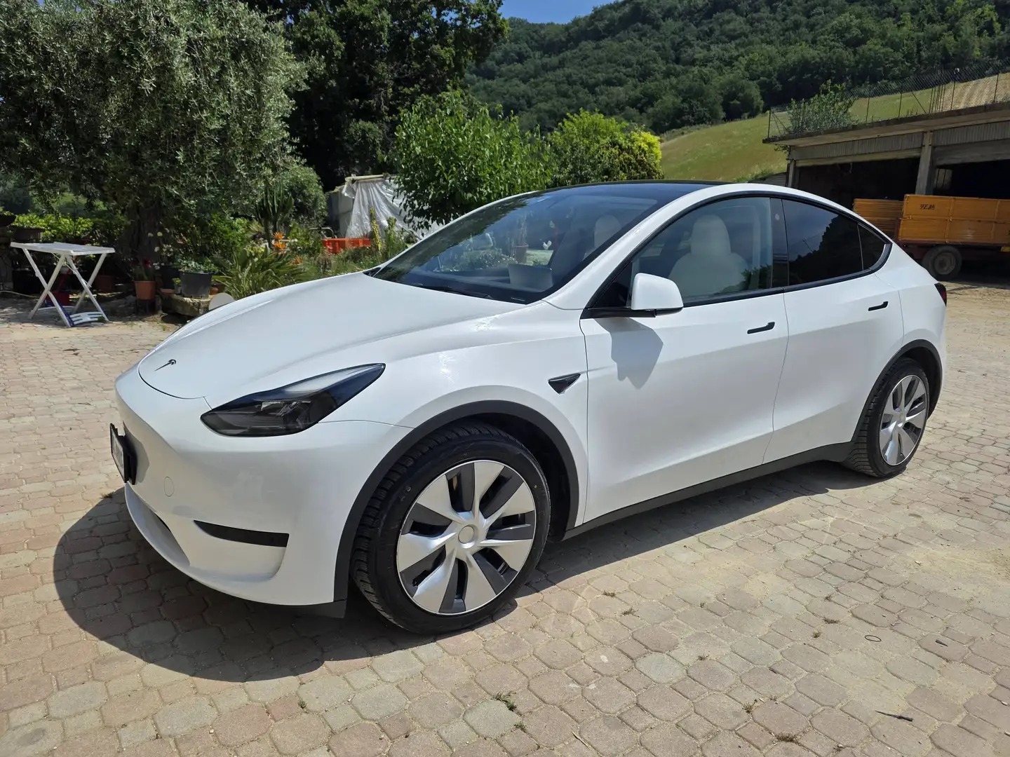 Tesla Model Y Single Motor RWD, bianco